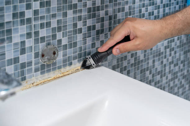 Best Mold Removal Company Near Me  in Spring Valley Lake, CA